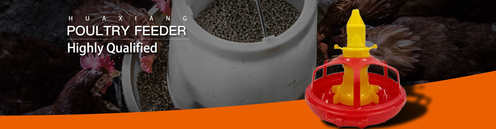 Gevogelte Feeder Drinker
