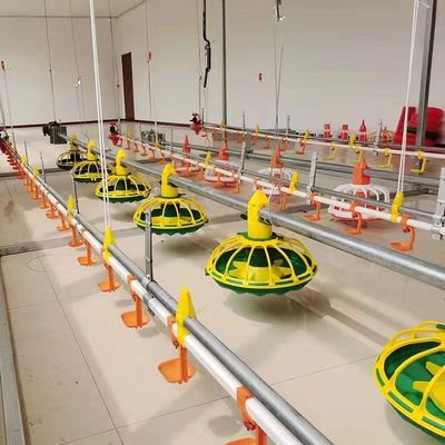 450 kg/u volautomatische kippenvoerlijn met trechter gegalvaniseerde buis