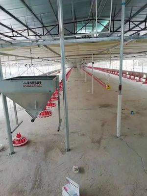 Plastic Pluimveehouderijmateriaal 380v 0.75kw Automatische het Voeden Machine voor Gevogelte