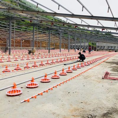 4 pan/3 m pluimveehouderij 380v automatisch voersysteem