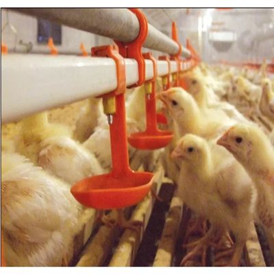 Bird Quail Chicken Nipple Drinker-systeem 3 maanden garantie