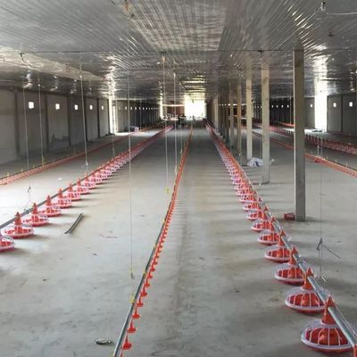 Gegalvaniseerde Pijp Pluimveehouderij Machine Pan Voersysteem Diameter 45mm