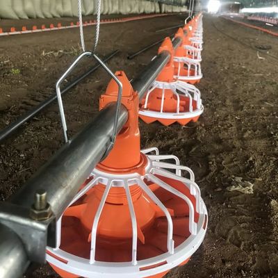 3 pan/3 m kippenvoersysteem Eenvoudige installatie Lange levensduur
