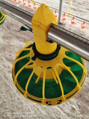 15 rooster Pluimveestal Voerpannen Kip Voerpan voor vleeskuikens