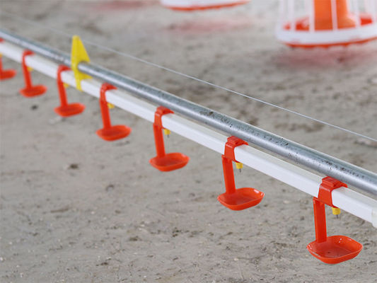 PP-materiaal Automatische pluimveevoeder voor vleeskuikens CE-certificering