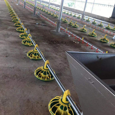 14/16 scheidingswanden Pluimveehouderij Apparatuur Plastic Kippenvoeders en drinkbakken