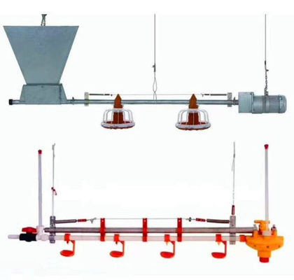 Volautomatische kippenvoerlijn 14/16 tussenschotten 450kg/u