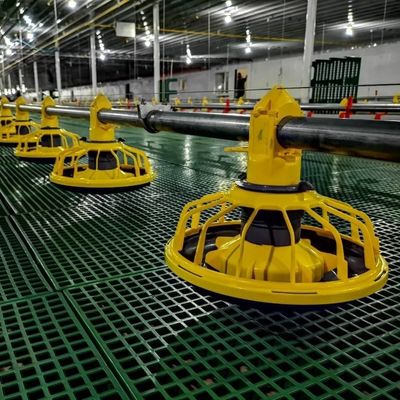 Heet gegalvaniseerd kippenfokmateriaal Vloer Vleeskuikens Pan Feeder Pluimvee