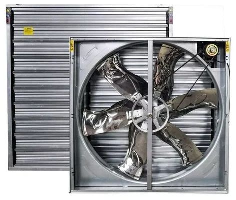 Pluimveestal Afzuigventilator Varkenshouderij Industriële Duurzame Ventilatieventilator Kippenhok Afzuigventilator Koelsysteem