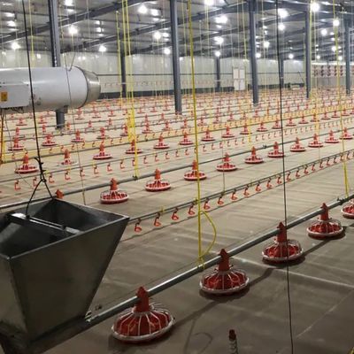 Automatisch voersysteem voor fokkers / vleeskuikens 750 W met 1 jaar garantie
