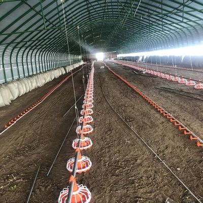 45-60 Chicken Poultry Farm Equipment 3 pan/3 m pluimveehouderij voersysteem