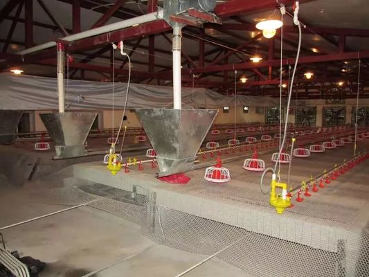 CE-certificering Chicken Poultry Equipment Eenvoudige installatie