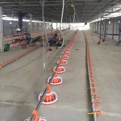 14 roosters Vleeskuikens Landbouwmachines 3 pan/3m Vleeskuikens Landbouwmachines