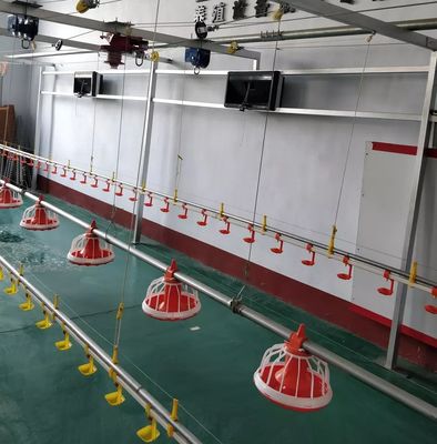 Diameter 45 mm pluimveevoermachine Milieucontrolesysteem