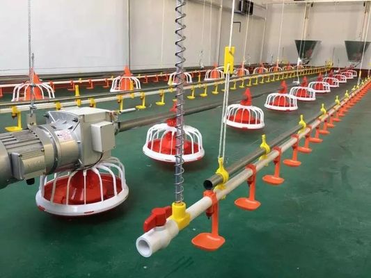 Diameter 60 mm pluimveebedrijf voermachine gegalvaniseerd staal