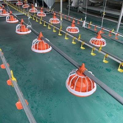 EO Feeding Poultry Farm Equipment Automatisch voersysteem voor pluimvee 1 jaar garantie