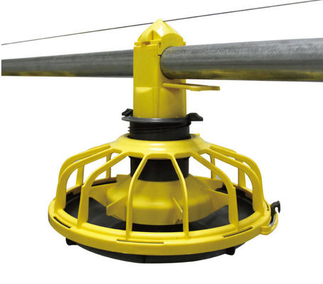 14/16 scheidingswanden Pluimveehouderij Apparatuur Plastic Kippenvoeders en drinkbakken