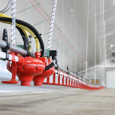 Pluimveevoeder en drinkbak van kunststof Lange levensduur