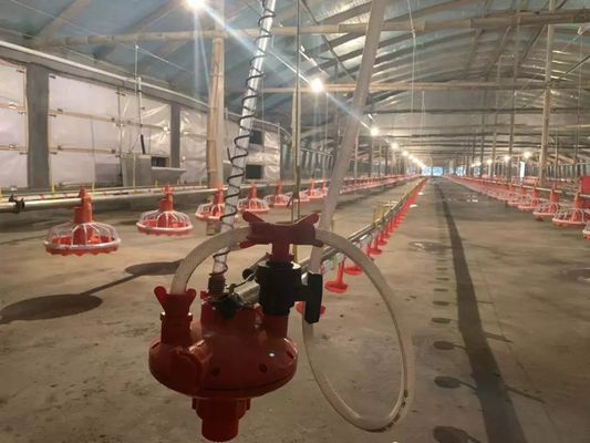 4 Pan / 3m kippenvoederapparatuur 380v 0.75kw met aandrijfapparaat